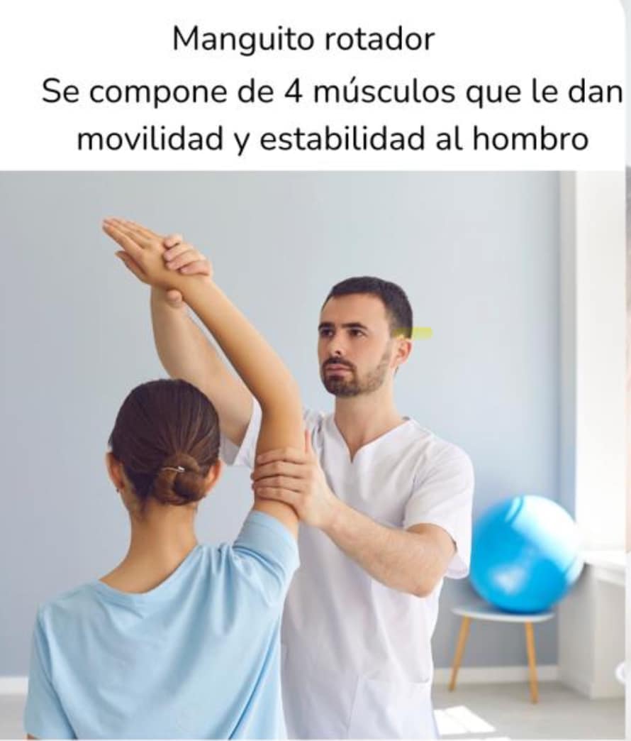 Manguito rotador información