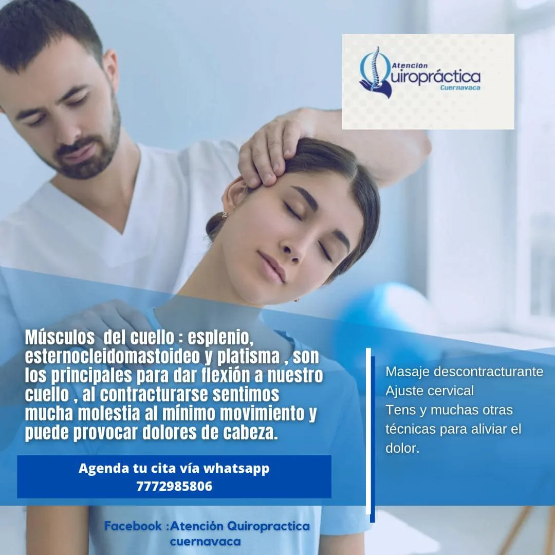 Publicación educativa sobre músculos del cuello y alivio de molestias